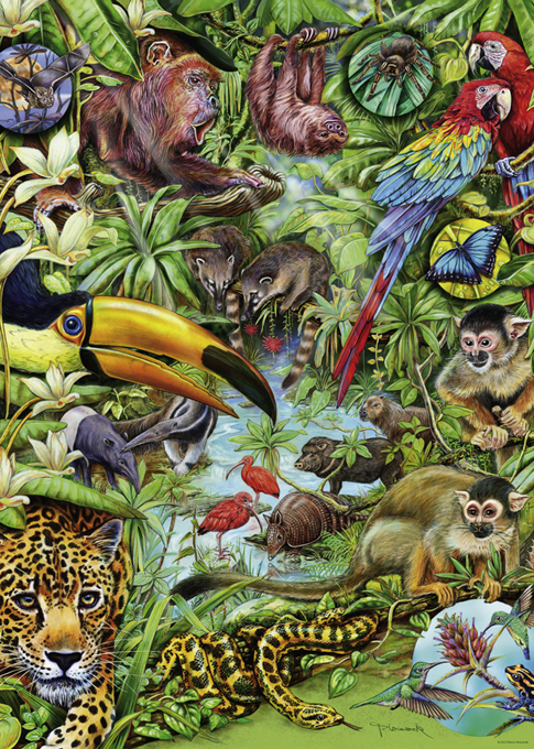 Buy Heye - Flora & Fauna - Rainforest Puzzle 1000pc