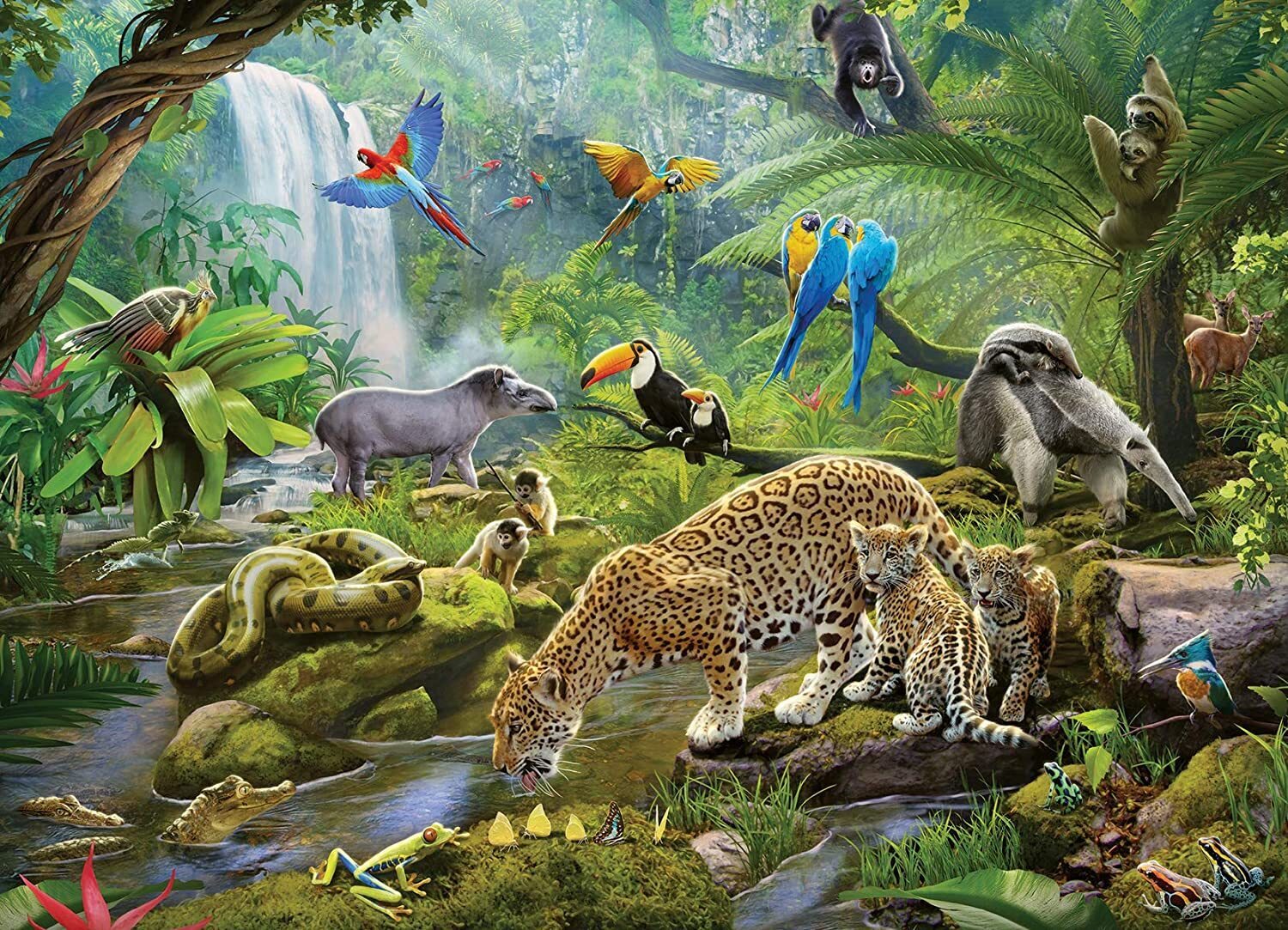 Buy Ravensburger - Rainforest Animals Puzzle 60pc