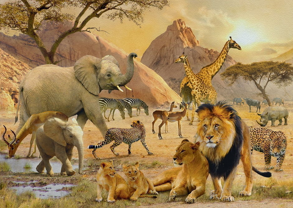 Buy Ravensburger - Africa Animal Crowd Puzzle 1000pc