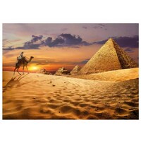 Educa - Camel In The Desert Puzzle 1000pc