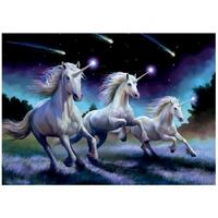 Educa - Anne Stokes Shooting Stars Puzzle 1000pc