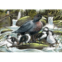 Holdson - Treasures of Aotearoa - Blue Duck Brood Large Piece Puzzle 300pc