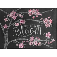 Holdson - Chalk Talk In Full Bloom Puzzle 1000pc