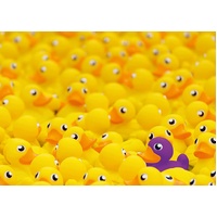 Ravensburger - Rubber Ducks Challenge Puzzle 1000pc