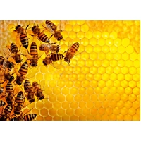 Ravensburger - Bees Challenge Puzzle 1000pc