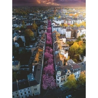 Ravensburger - Bonn in Blossoms Puzzle 1500pc