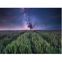 Ravensburger - Power of Nature Night Sky Over The Cornfield Puzzle 1500pc