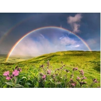 Ravensburger - Power of Nature Spectacular Rainbow Puzzle 1500pc