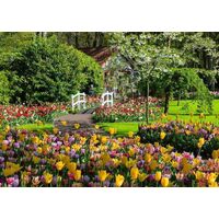 Ravensburger - Keukenhof Gardens, Netherlands Puzzle 1000pc