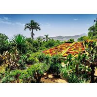 Ravensburger - Botanical Garden, Madeira Puzzle 1000pc