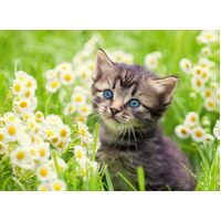 Ravensburger - Kitten in the Meadow Puzzle 500pc