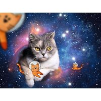 Ravensburger - Cats in Space Puzzle 1500pc