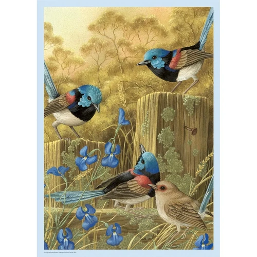 Brolly Books - Red-Winged Fairy Wrens Puzzle 1000pc