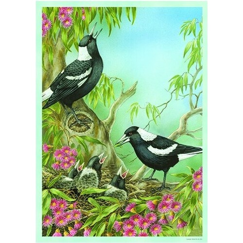 Brolly Books - Australian Magpies Puzzle 1000pc