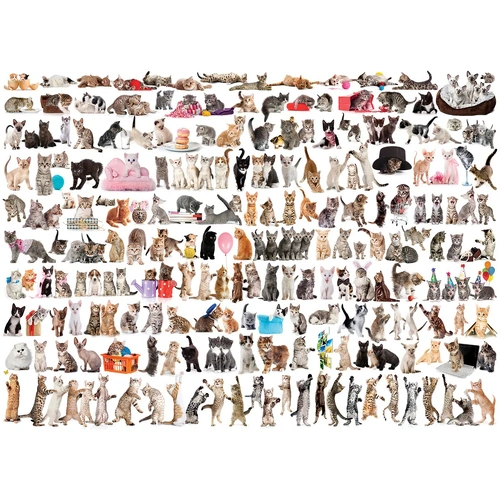 Eurographics - The World of Cats Puzzle 1000pce