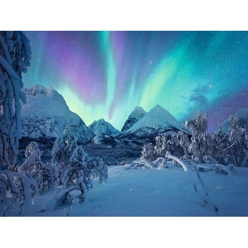 Ravensburger - When the Northern Lights Dance Puzzle 1500pc