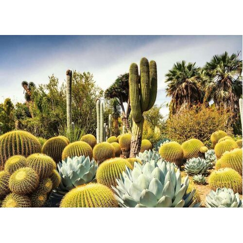 Ravensburger - Huntington Desert Garden Puzzle 1000pc