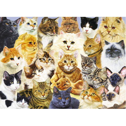 Buy Ravensburger - Cat Pride Puzzle 100pc