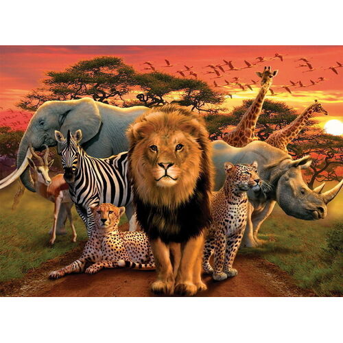 Buy Ravensburger - African Splendor Puzzle - 500pc