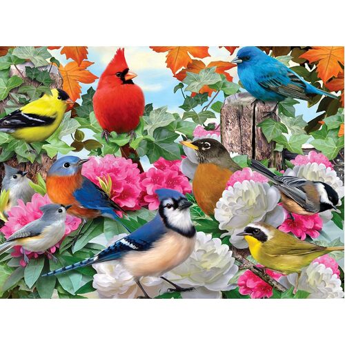 Ravensburger - Garden Birds Puzzle 500pc