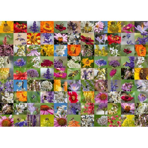 Ravensburger - 99 Bees Collage Puzzle 1000pc