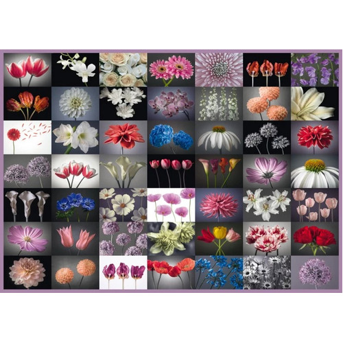 Schmidt - Floral Greetings Puzzle 2000pc