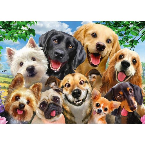 Schmidt - Dog Selfie Puzzle 500pc