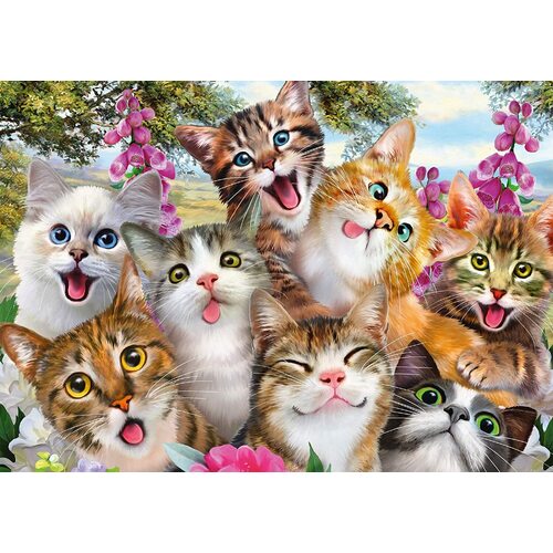 Schmidt - Cat Selfie Puzzle 500pc